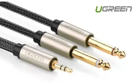 Cablu TRS UGREEN AV126 3.5 mm la 2x TS 6.35 mm - 5m (grey)